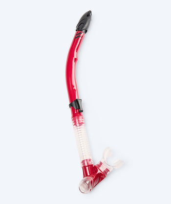 Watery semi-dry snorkel för vuxna - Hudson - Röd